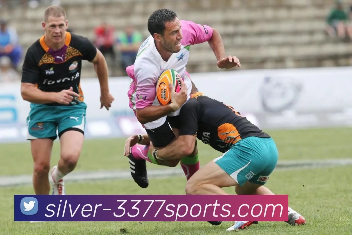 3377体育发展历程